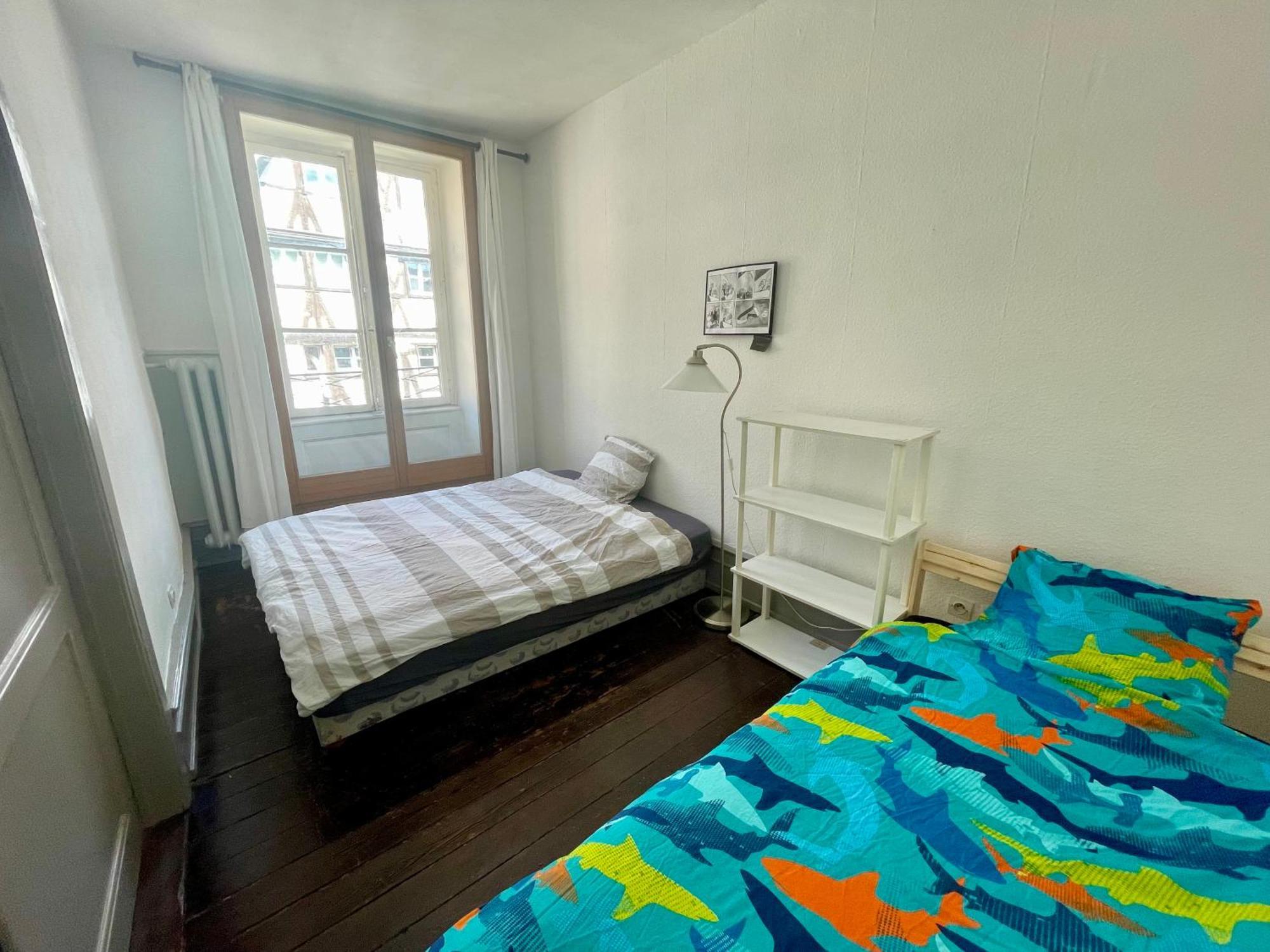 Cathedrale Spacieux Appartement Strasbourg Exterior foto